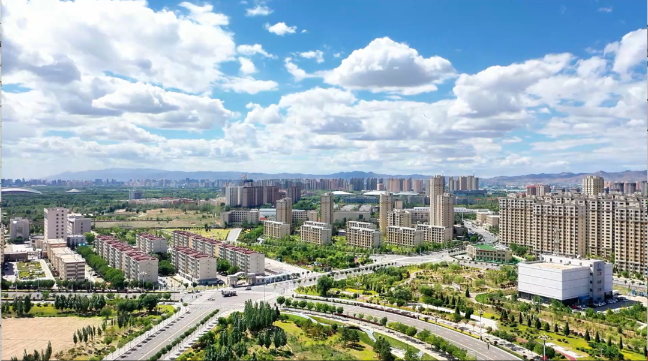 1765421348504040003.png auto