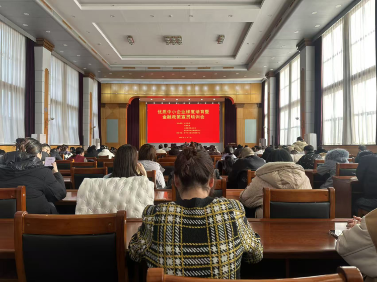 1765449572296059722.png auto